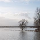 Rheinbrücke Rees