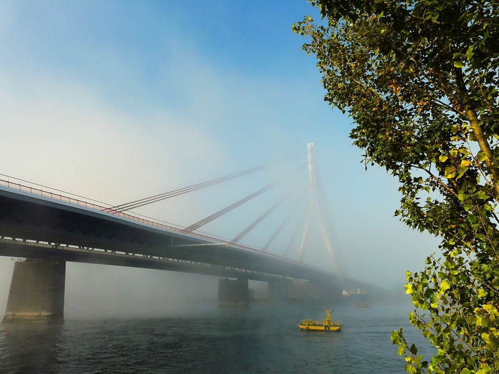 Rheinbrücke Wesel im Morgennebel