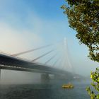 Rheinbrücke Wesel im Morgennebel