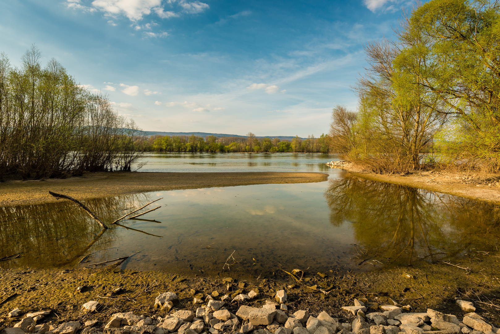 Rheinbucht bei Ingelheim 1