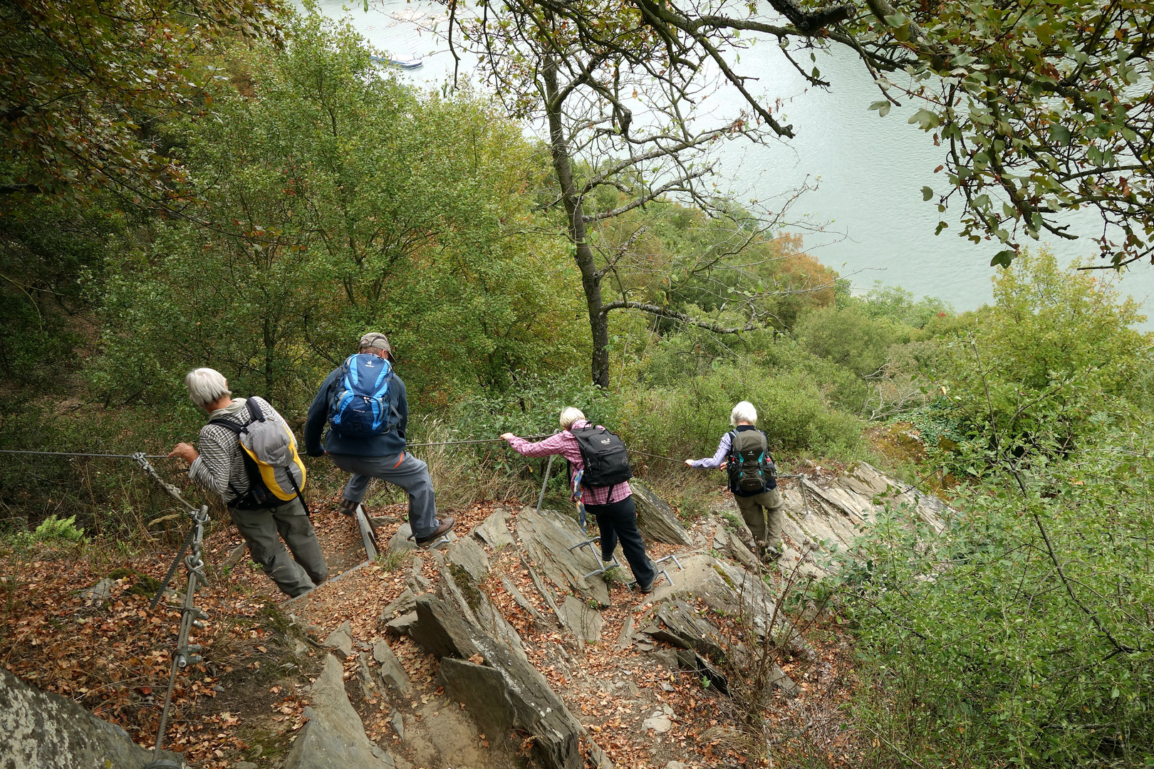 Rheinburgenweg am Oelsberg