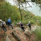 Rheinburgenweg am Oelsberg