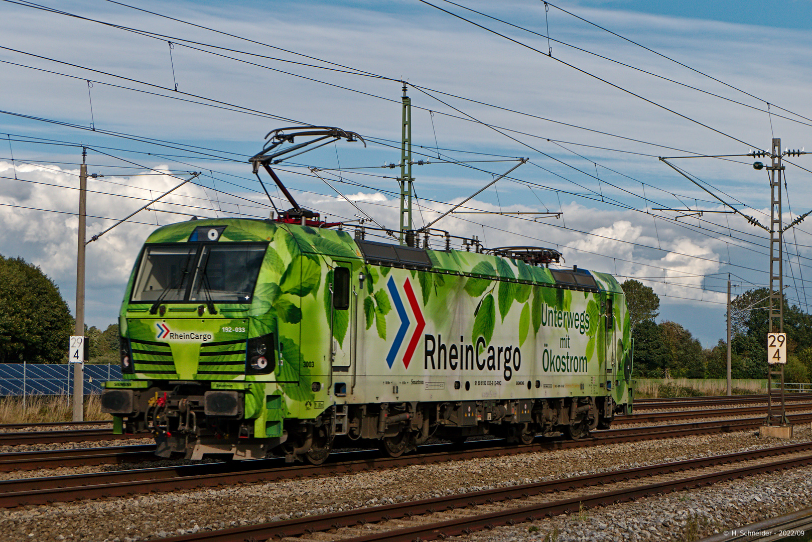 RheinCargo im grünen Laub