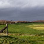 Rheindeich Duisburg-Walsum...