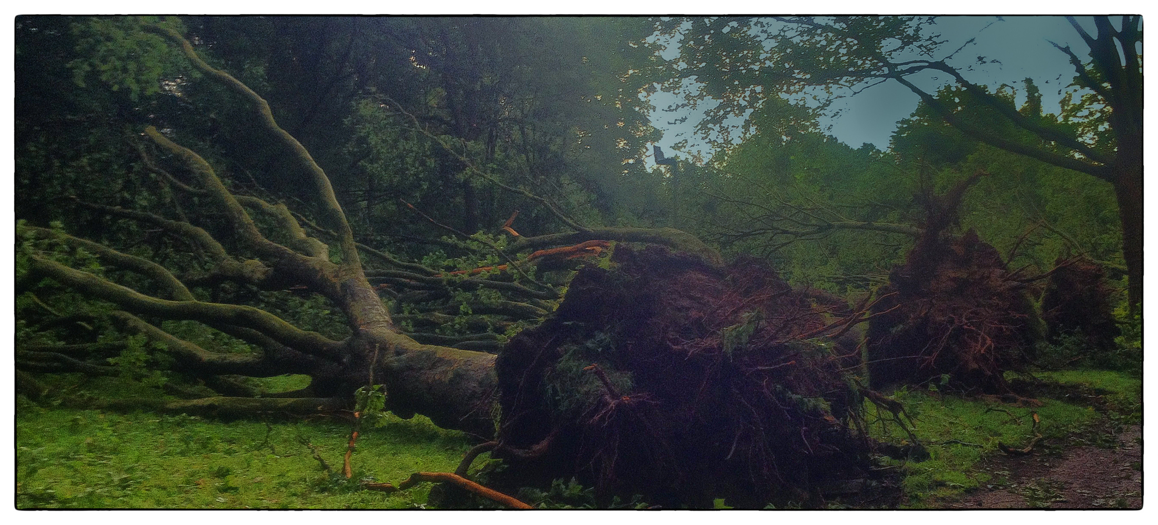 Rheindeich in Duesseldorf nach dem Sturm