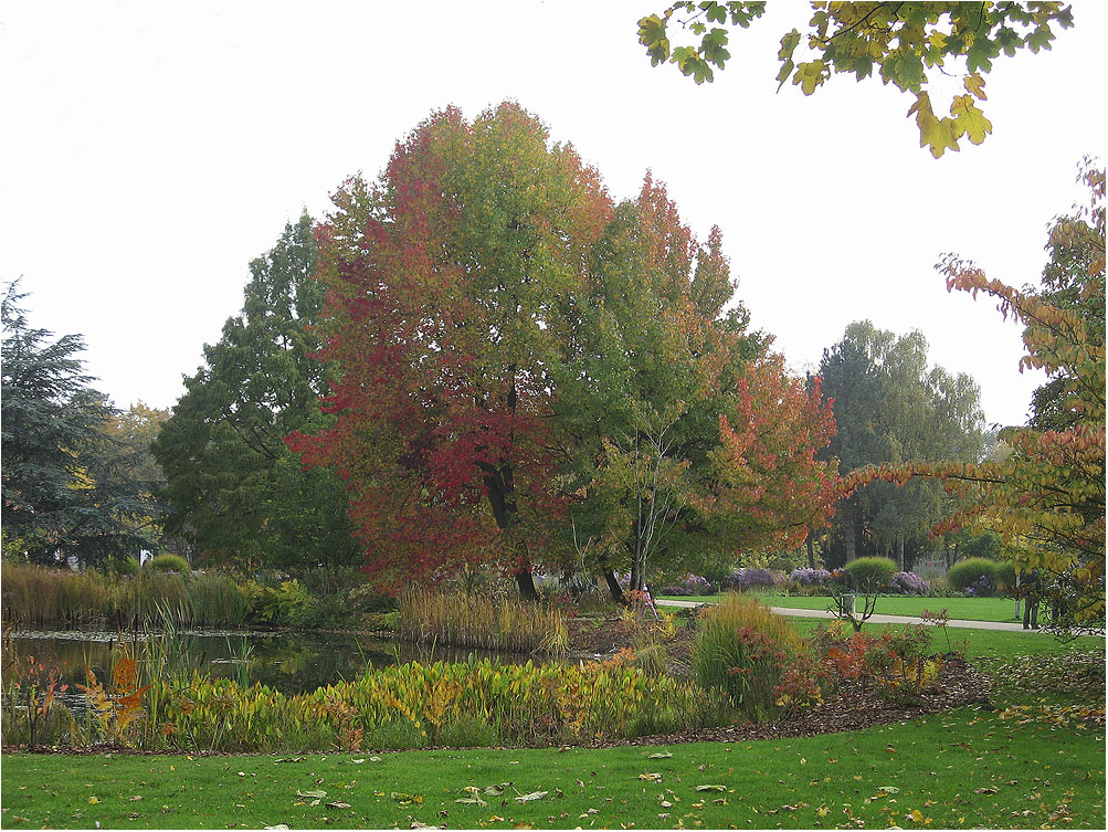 Rheine im Oktober