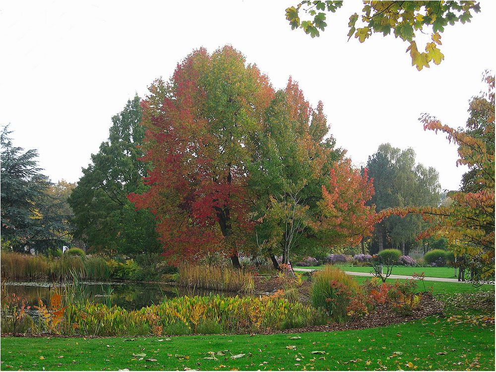 Rheine im Oktober