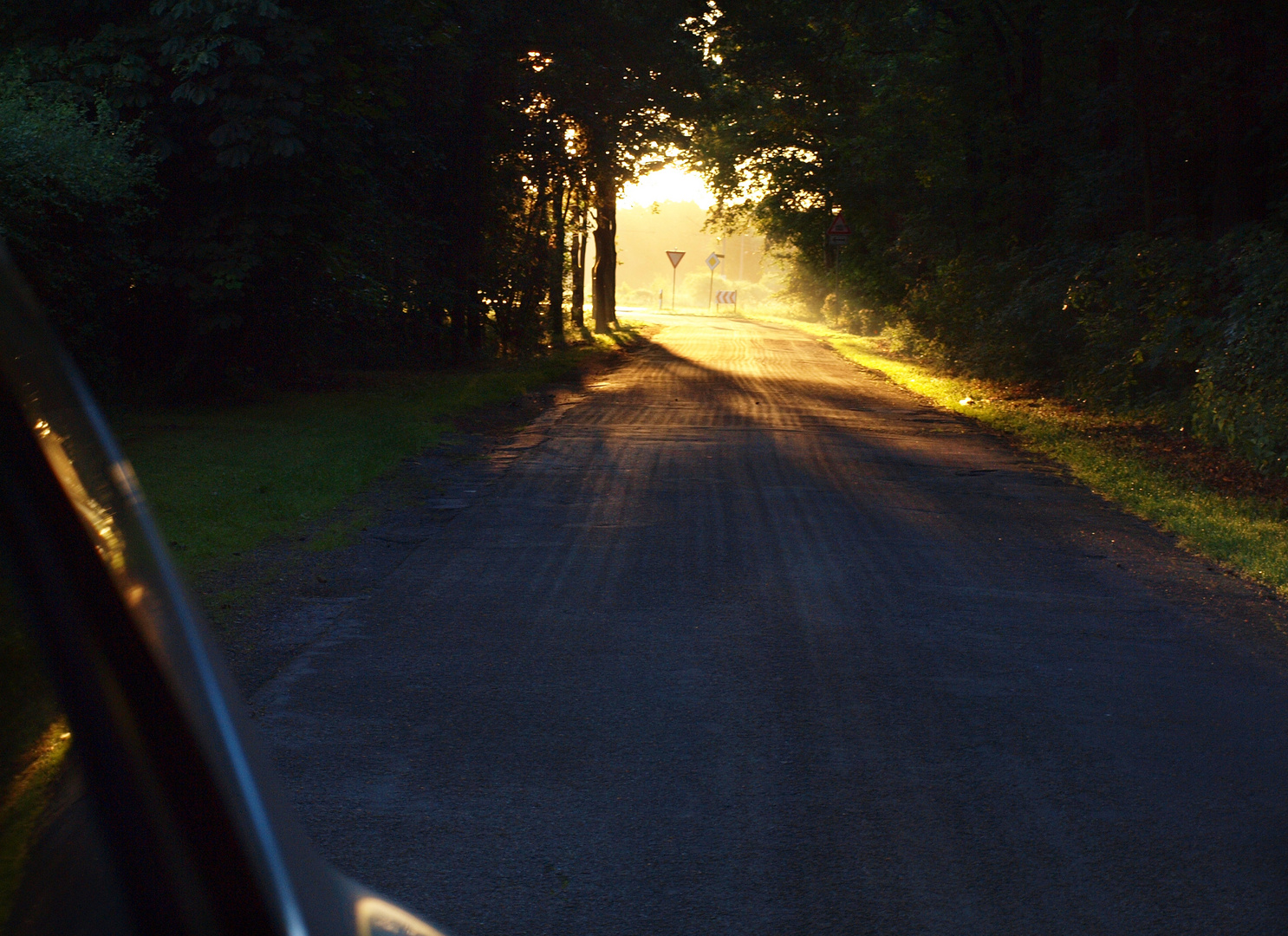 Rheine, Licht am Ende des Waldes