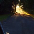 Rheine, Licht am Ende des Waldes