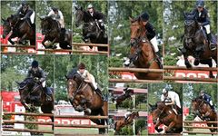 Rheine-Wadelheim Reitspringturnier " S " Springen