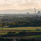 Rheinebene im Gegenlicht