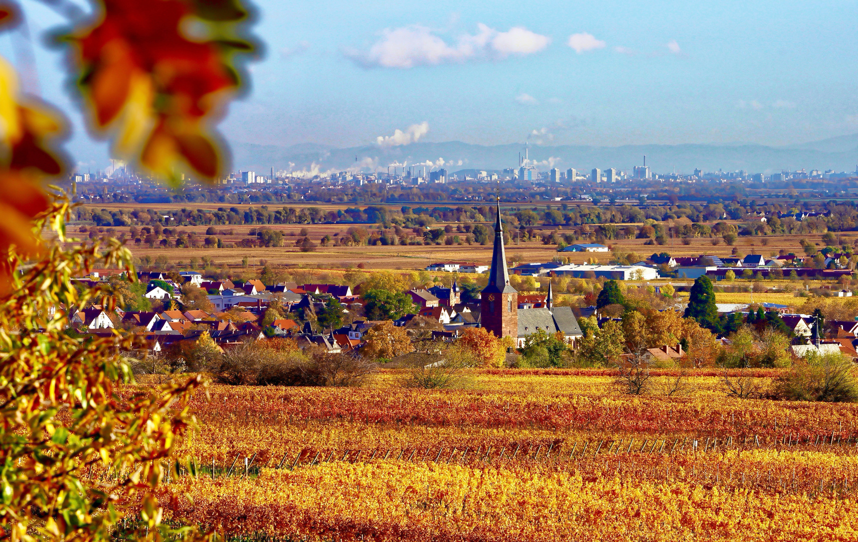 Rheinebene im Herbst