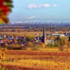 Rheinebene im Herbst