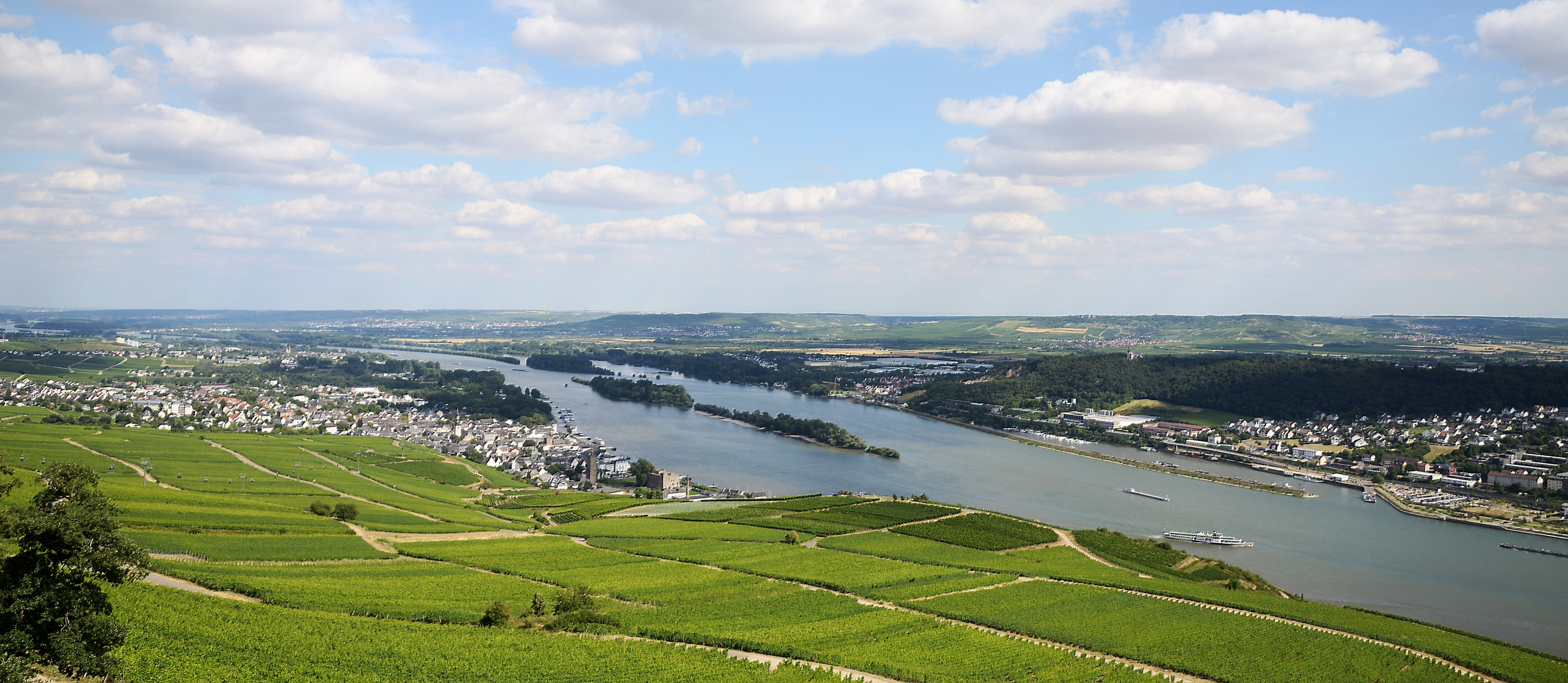 Rheinebene mit Blick links auf Rüdesheim