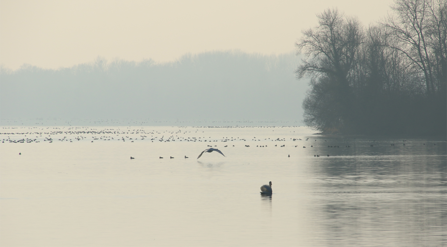 Rhein.es Winterwetter! :)