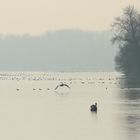 Rhein.es Winterwetter! :)