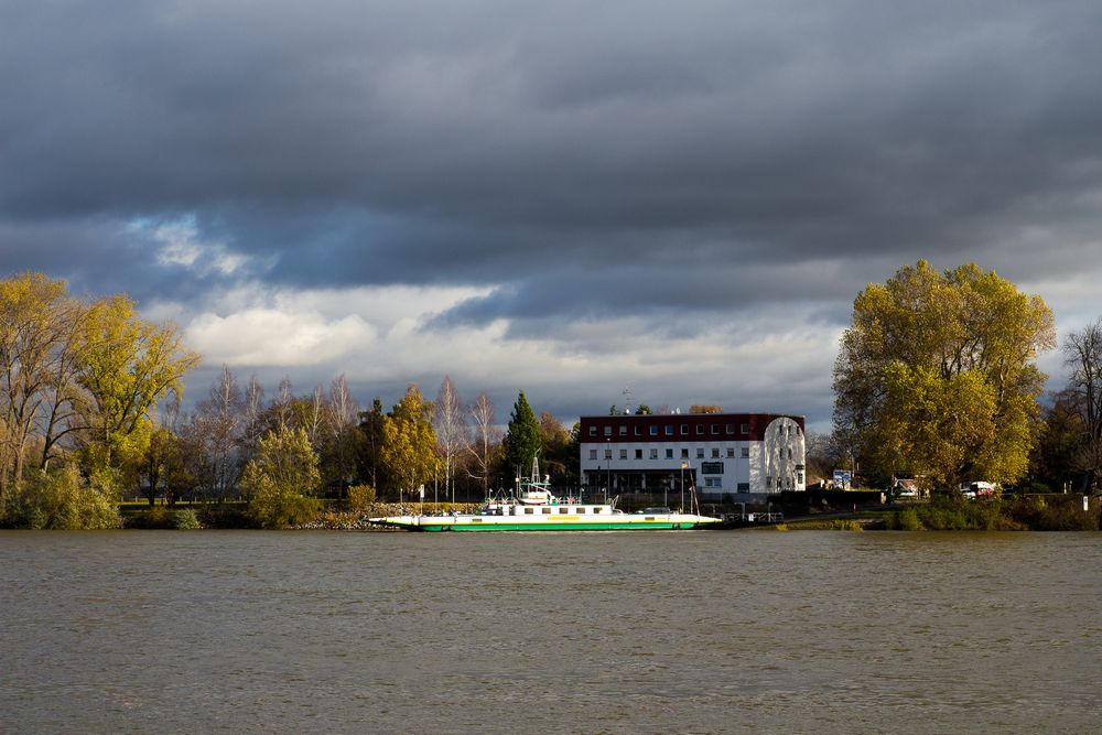 Rheinfähre bei Nierstein