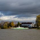 Rheinfähre bei Nierstein