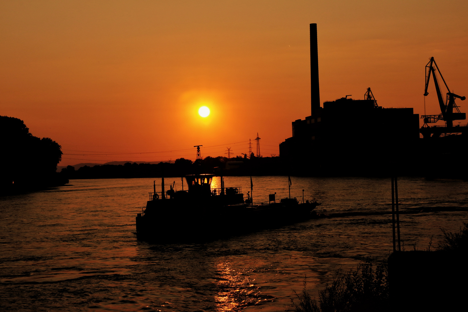 Rheinfähre Mannheim