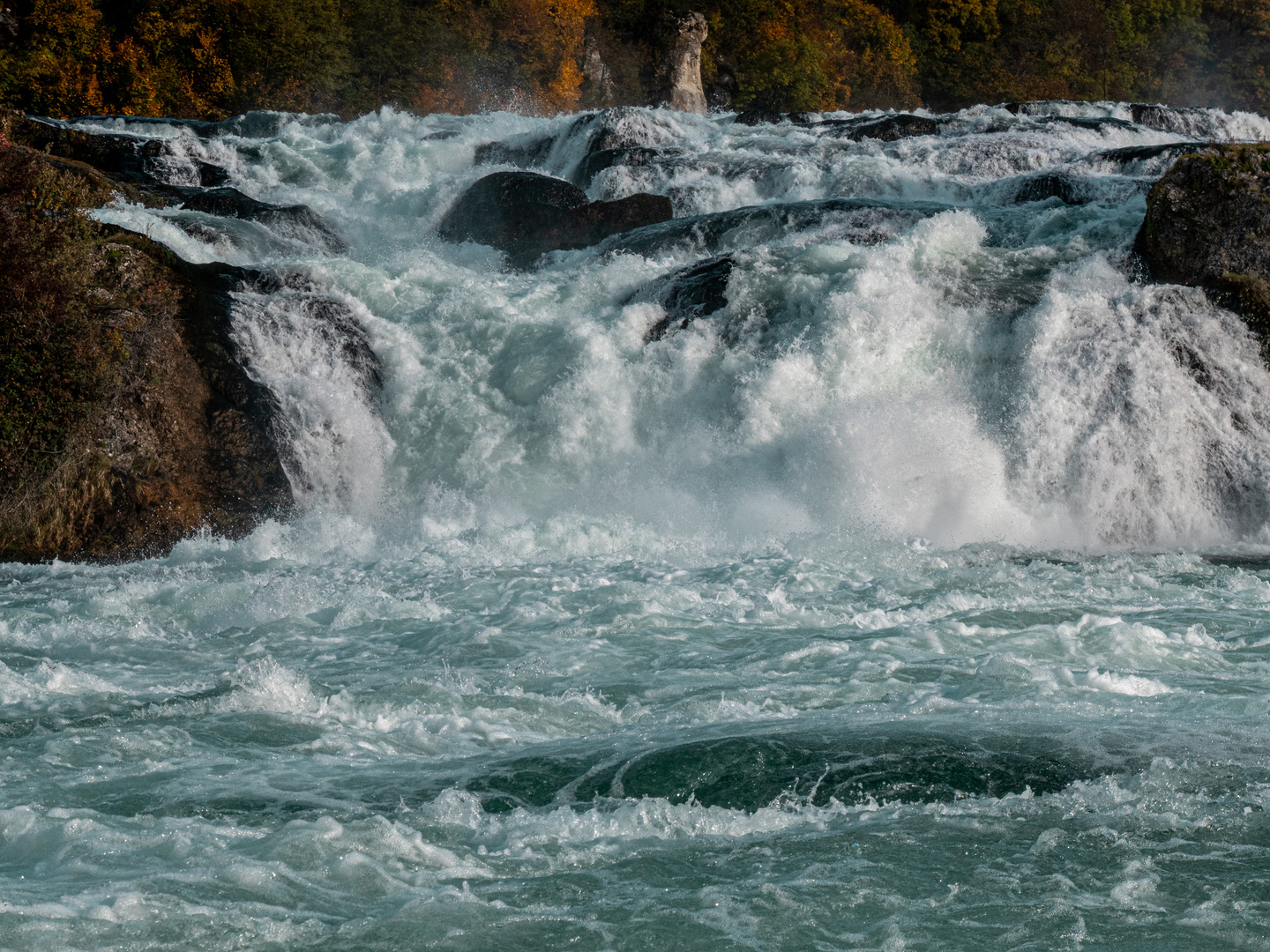 Rheinfall-146