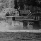 Rheinfall