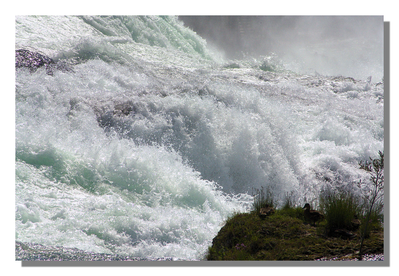 Rheinfall bei Neuhausen / Schaffhausen in der Schweiz