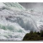 Rheinfall bei Neuhausen / Schaffhausen in der Schweiz