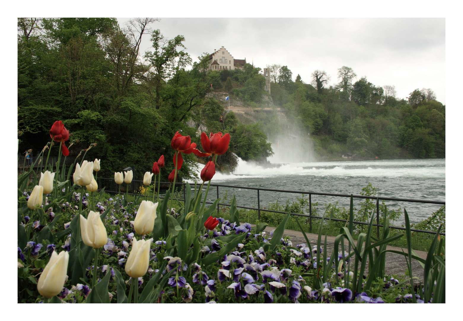 Rheinfall