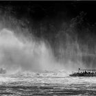 Rheinfall für Mutige