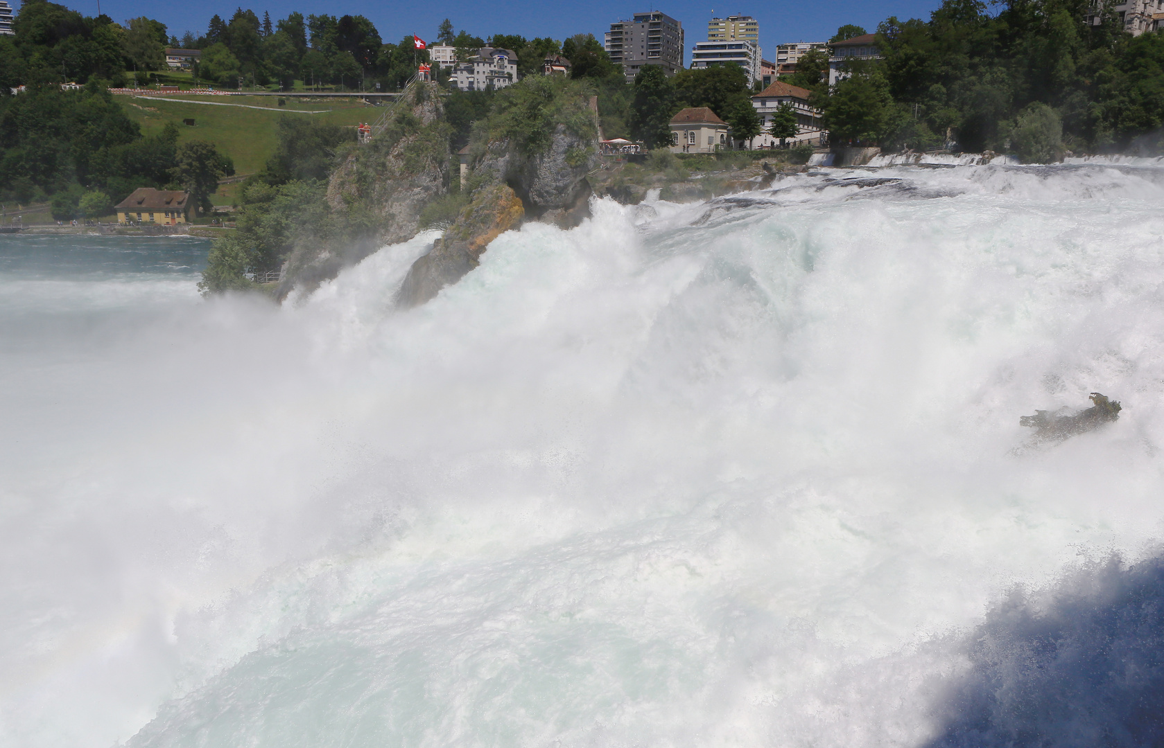 Rheinfall ganz wild