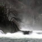 [ Rheinfall II ]