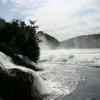 Rheinfall im Gegenlicht