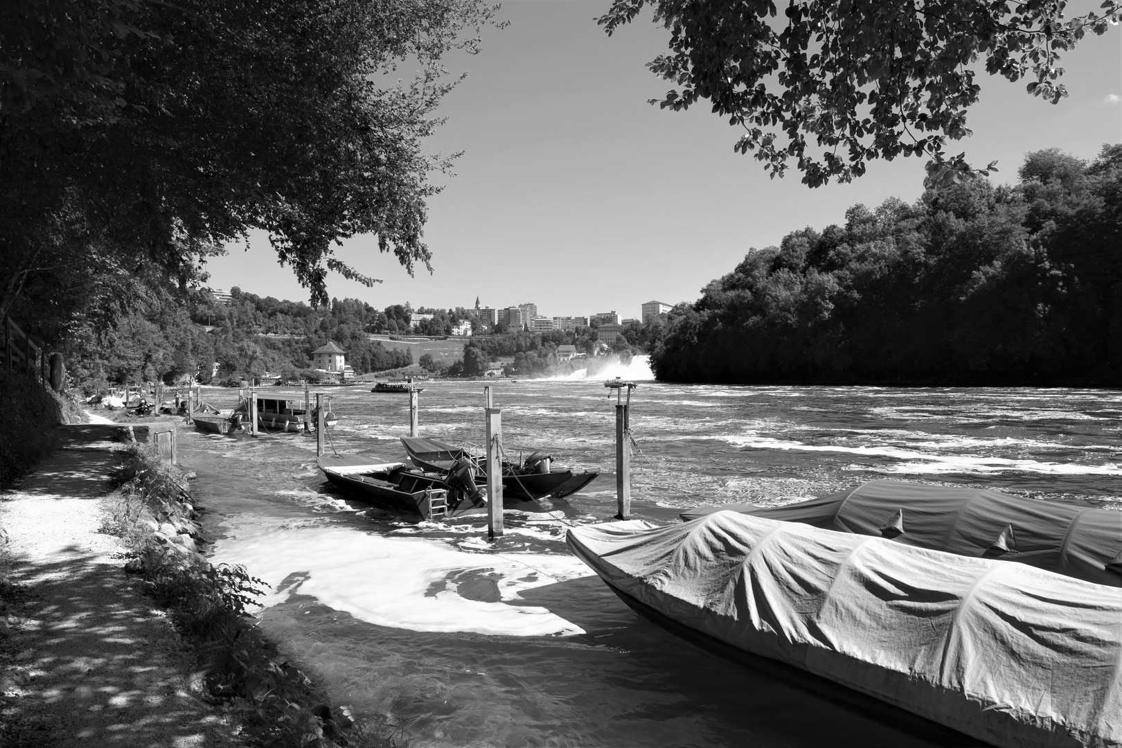 Rheinfall im Sommer