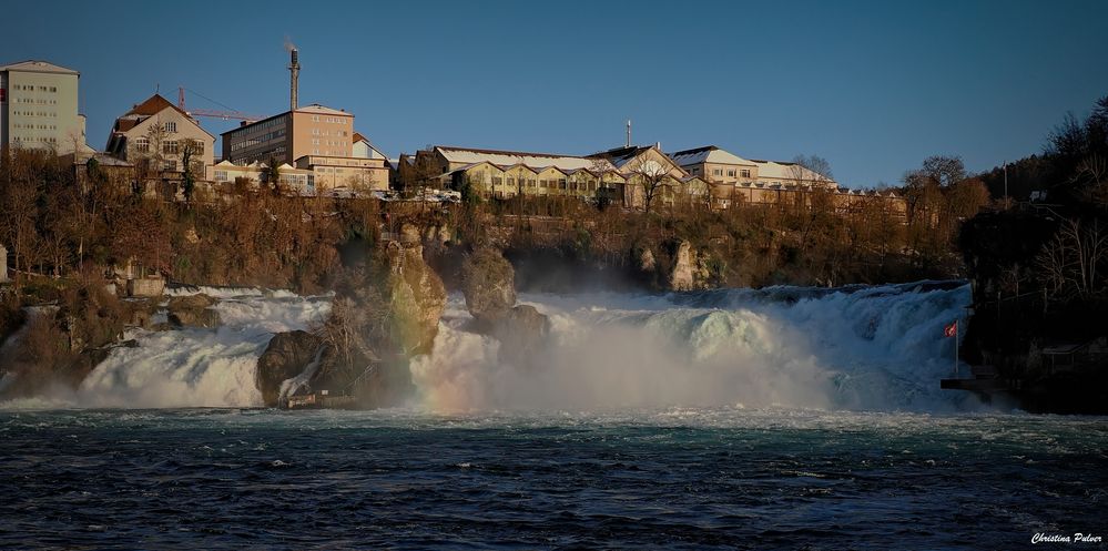 Rheinfall in der Abendsonne mit viel Wasser