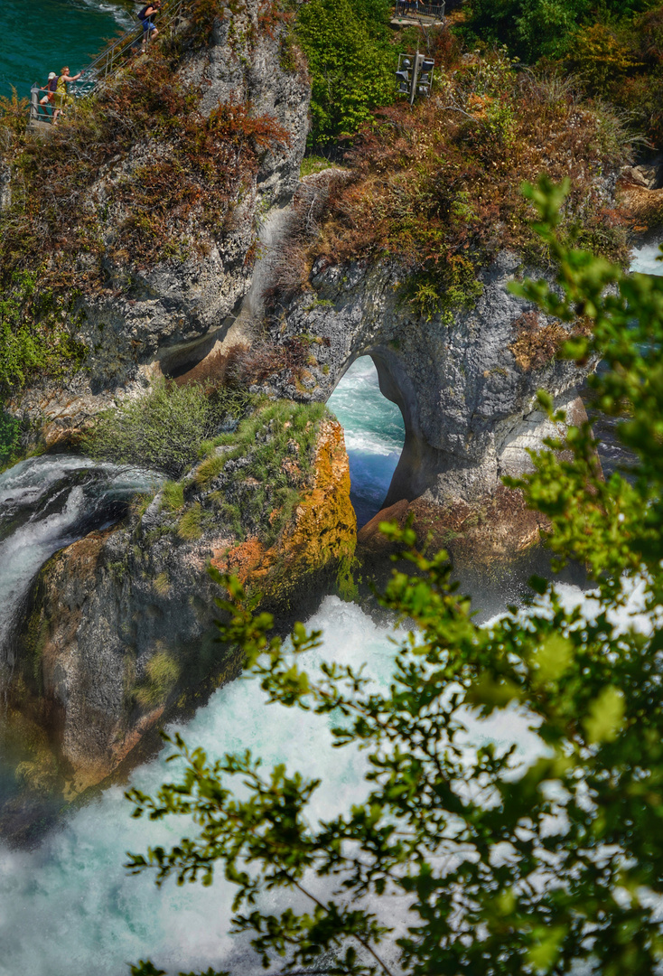 Rheinfall in der Schweiz 