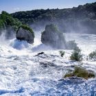 Rheinfall in der Schweiz