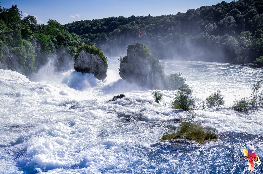 Rheinfall in der Schweiz