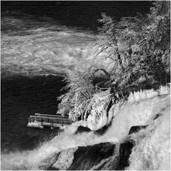 Rheinfall-kraftvoll (13)