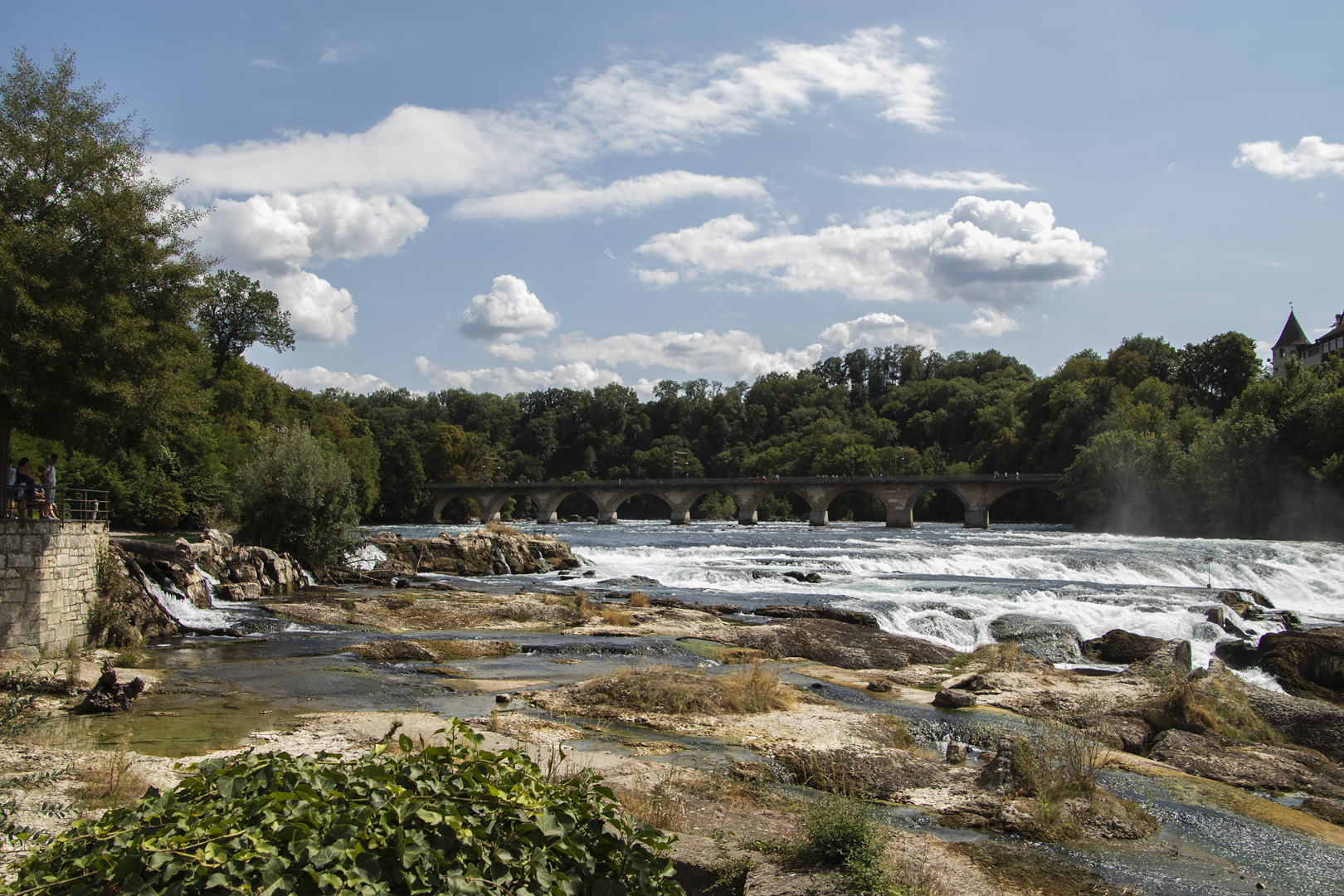 Rheinfall mit wenig Wasser (2)