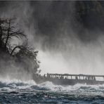 Rheinfall Schaffhausen IV