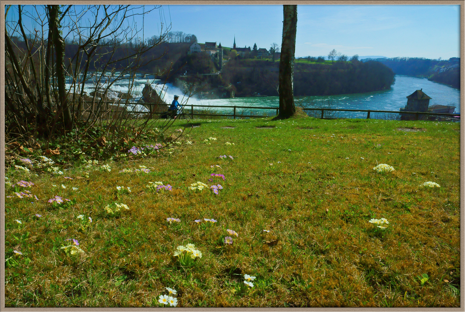 Rheinfall Schaffhausen März 2015