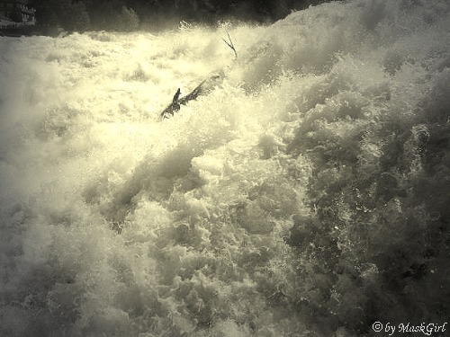 Rheinfall - Schaffhausen (Schweiz)