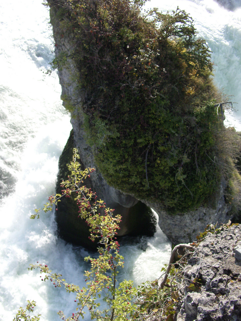 Rheinfall Schaffhausen_1