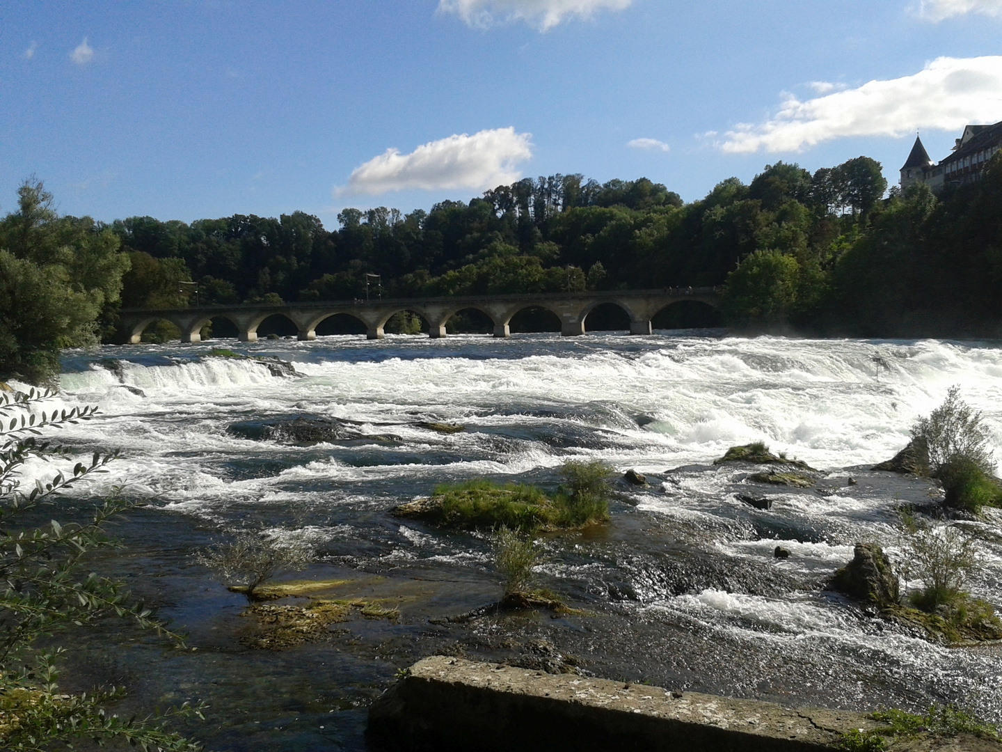 Rheinfall Schweiz 2