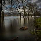Rheinfluten