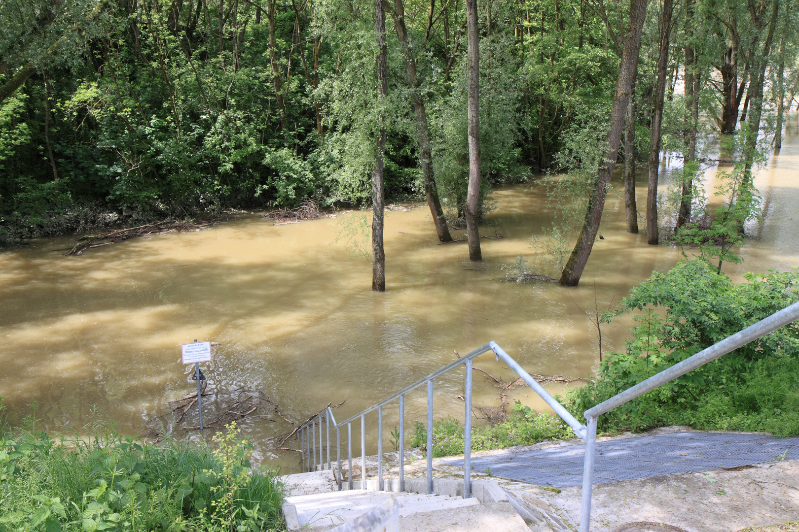 Rheingärten, Altrhein in Neuenburg am Rhein und Panzerplatte