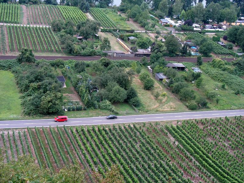 Rhein(ganz oben)WeinCampingDBSchrebergärtenB42Wein