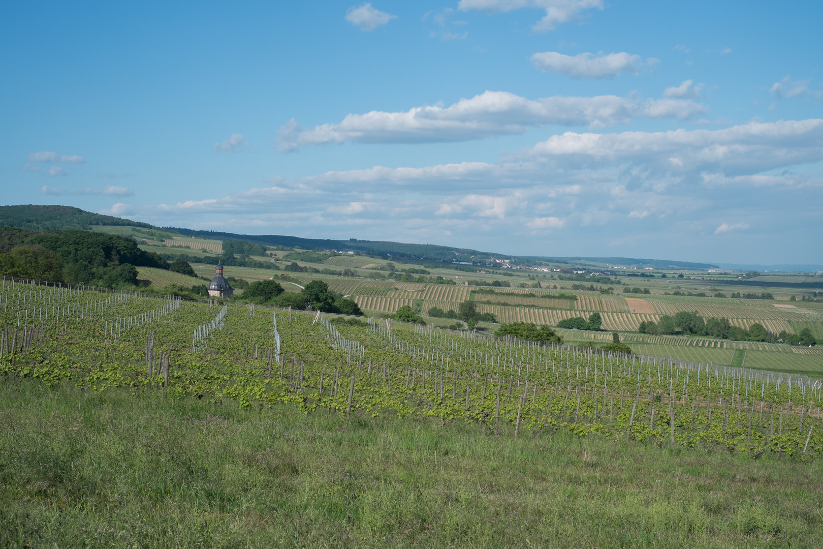 rheingau #06