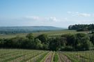 rheingau #07 von Harald Dörr 