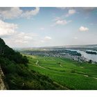 Rheingau [1]